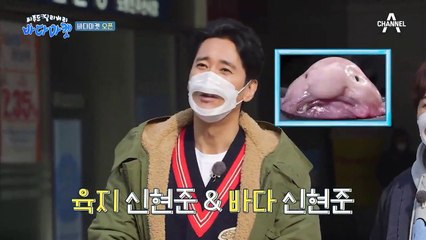 바다마켓으로 도착한 영상편지, 이들에게 주어진 미션은?