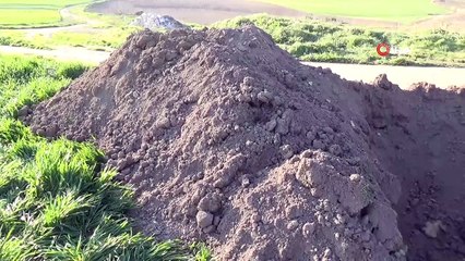 Tekirdağ’da vahşet: Cinayete define kurgusu