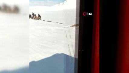 İçme suları için gittikleri arazide mahsur kalan köylüleri AFAD kurtardı