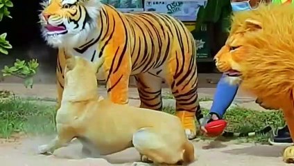 Fake tiger 2025 dog prank