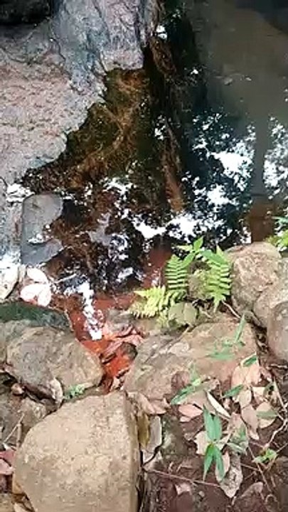 river