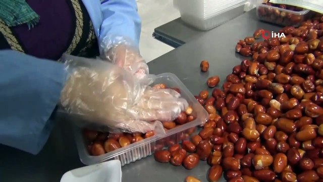 Kuru Meyve Üreterek Pandemiye Rağmen İşleri Büyüttüler