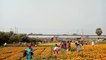 Electric locomotive with container running through flowers valley at Khirai __ Indian Railway
