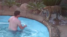 Il vit avec un tigre comme animal de compagnie... Adorable