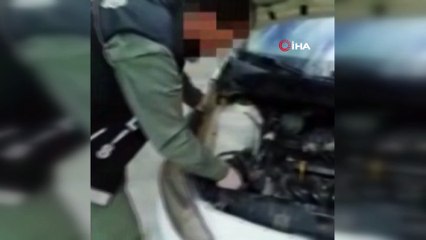 Mardin’de zehir tacirlerinin yöntemi 'pes' dedirtti