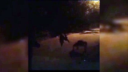 A coisa tá feia, a coisa tá preta! Criatura não identificada é flagrada no Bairro Universitário