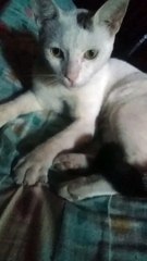 pili resien levantado de la cama