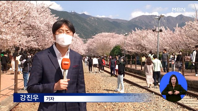 불안하고 또 불안 …진해 벚꽃 보러 쏟아진 상춘객들