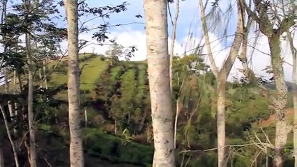 Bubung Gede View Point Batur