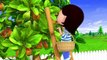 Learn with Little Baby Bum | I Had a Little Nut Tree | Nursery Rhymes for Babies | Songs for Kids