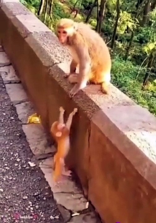 Mother Love