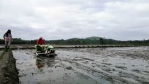 Rice Planting