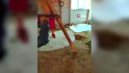 Ormana yapılan kulübede define ararken suçüstü yakalandılar