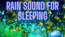 Rain Sounds Sleep | Calming Rain Sounds