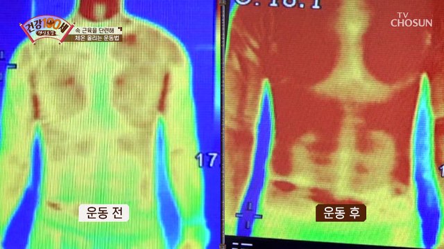 집에서도 쉽게 할 수 있는 ✦속 근육 운동✧ TV CHOSUN 210329 방송