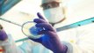 WHO-Bericht: Coronavirus stammt nicht aus Laborunfall
