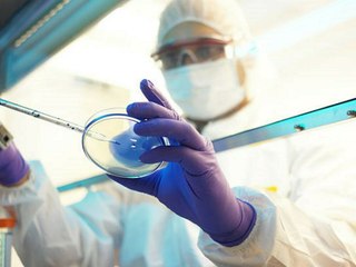 WHO-Bericht: Coronavirus stammt nicht aus Laborunfall