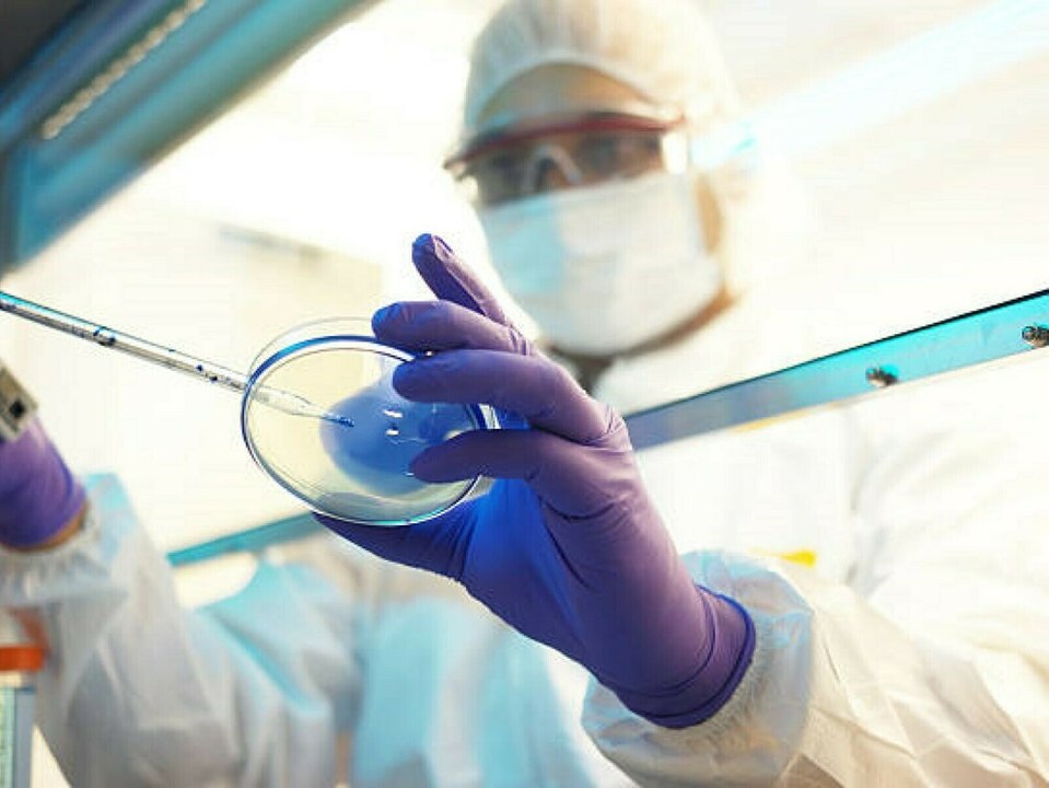 Who-bericht: coronavirus stammt nicht aus laborunfall