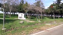 Tekirdağ’da bir vahşet daha... Benzin döküp karısını yaktı; yakılan kadın 2 kilometre yürüyüp yardım istedi