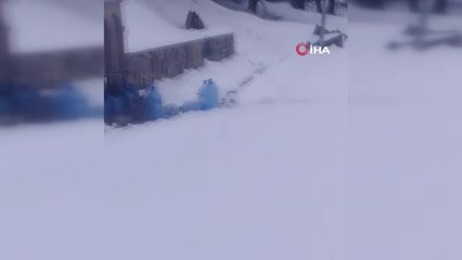 Sarıkamış'ta ayılar kış uykusundan uyandı