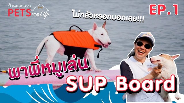 บ้านและสวน Pets For Life Ep.1