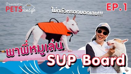 บ้านและสวน Pets For Life Ep.1