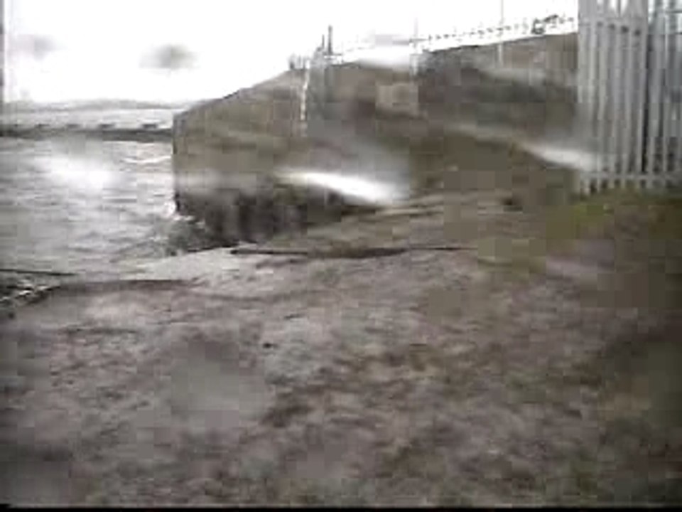 Dave and pup on tour