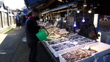 Sezonun son hamsileri tezgahlarda