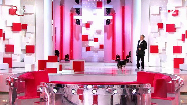 Michel Drucker de retour dans Vivement dimanche après des mois de convalescence suite à de lourdes opérations - France 2