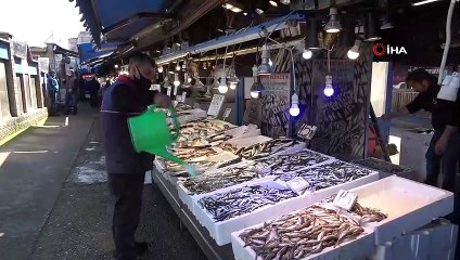 Sezonun son hamsileri tezgahlarda