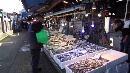 Kilosu 15 TL’den Satılan Hamsilere İlgi Büyük