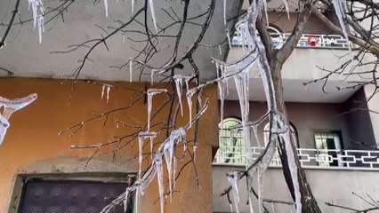 - Ağrı Mart ayında dondu