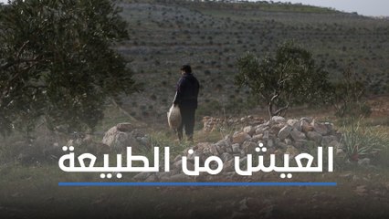 سوّاح الجبال.. لقمة عيش مخبأة بين الصخور