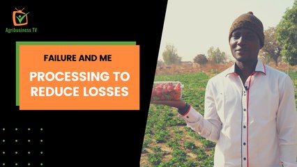 Failure and me: Processing to reduce losses