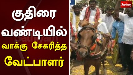 குதிரை வண்டியில் வாக்கு சேகரித்த வேட்பாளர் | Tiruvallur