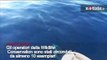 Isole Eolie, branco di delfini nuota insieme al motoscafo: lo spettacolo nelle acque di Filicudi