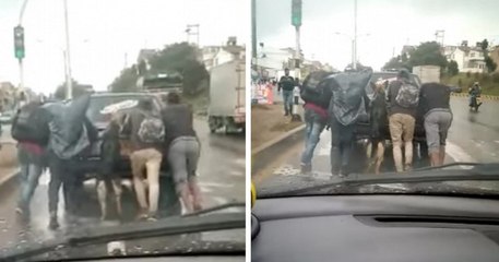 Colombie : un chien aide son maître à pousser sa voiture en panne, les images valent le détour