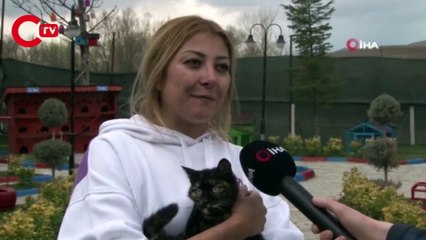 'Kestane'den 'insanlık' dersi, üç yavru kediye süt annelik yapıyor