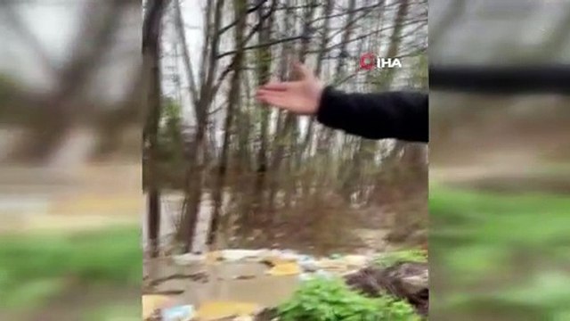 Bir dere yağışlardan taşma noktasına geldi diğeri ise atılan çöplerden taştı