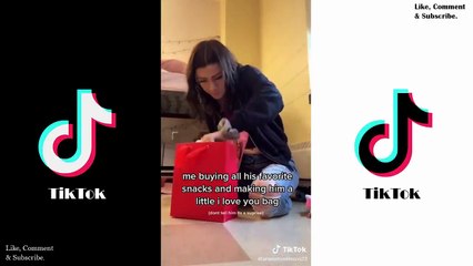 Clash Tibo Inshape Est Jujufitcat (Clip Tik Tok)