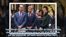 L'ex-majordome de Lady Diana révèle quel est le vrai rôle du Prince Harry