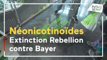 Néonicotinoïdes : quand Extinction Rebellion s'en prend à Bayer