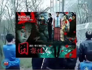 Lion vs Tiger (the tiger survived encounter with lionesses)