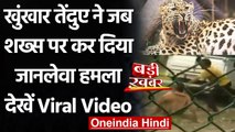 Viral Video: Jammu के Green Belt Park में तेंदुए ने शख्स पर किया जानलेवा Attack । वनइंडिया हिंदी