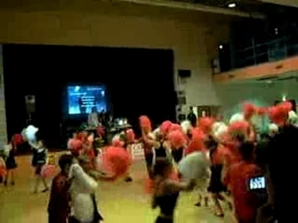 ITECH POM POM GALA 2008 v2.0