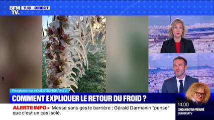 BFMTV répond à vos questions : Vaccination,qui est éligible ? - 06/04