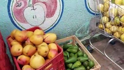 Empresário de Cruzeiro do Oeste cria feira solidária e doa alimentos para necessitados