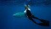 5 Tips to Keep You Safe From Sharks, According to a Shark Safety Diver