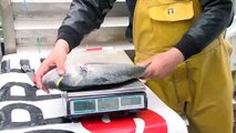 Martigues : vente à quai de poisson frais dans l'Île