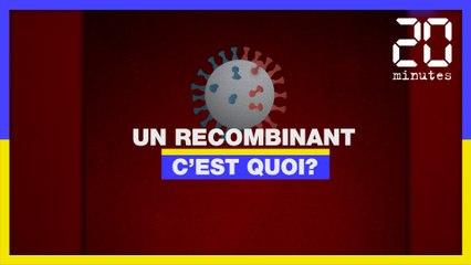 Coronavirus: Un recombinant, c'est quoi?